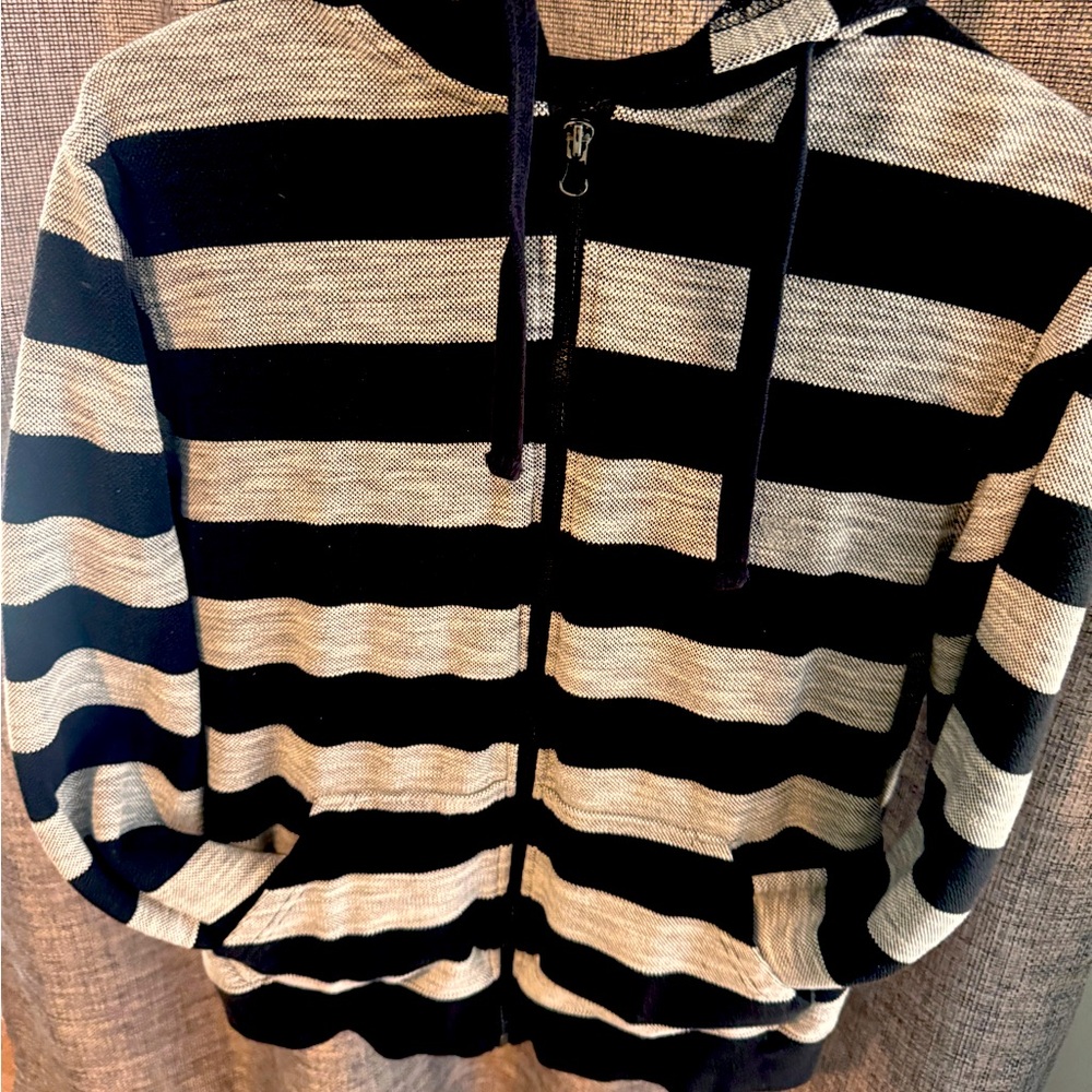 Rude Brand Zip Up Striped Hoodie